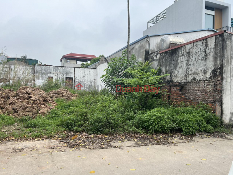 Property Search Vietnam | OneDay | Residential, Sales Listings, Urgent sale of 76.6m Cau Ca village, Co Loa commune, Dong Anh district, 3-car front road, avoid LH e Khai alley.