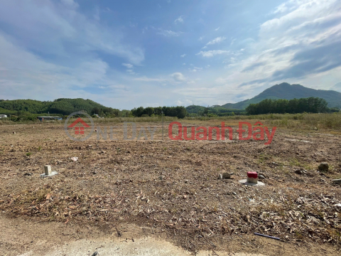 Investment Opportunity: 550m2 Agricultural Land Dien Tan Khanh Hoa - Only 395 Million - 8m Road - Red Book _0