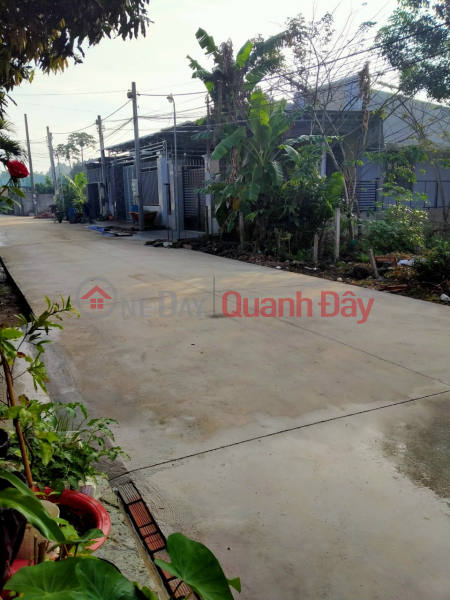 THE OWNERS NEED TO LEASE RESIDENTIAL LAND IN Hamlet 5, LONG PHUOC Commune - LONG THANH - DONG NAI. Vietnam, Rental đ 5 Million/ month