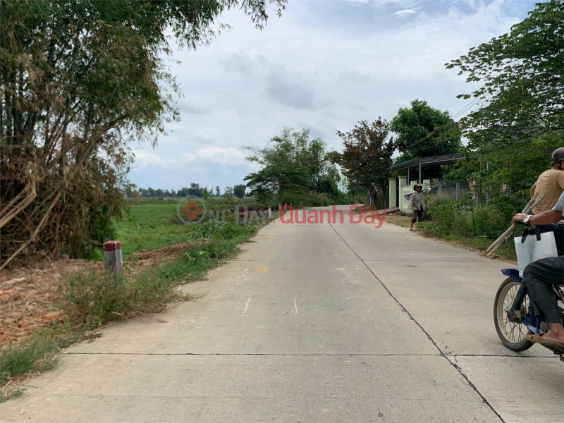 Land for sale in front of Tinh Thien Tinh Hoa commune, 199m2 (6x33) SHR price 790 million negotiable Vietnam, Sales | đ 790 Million