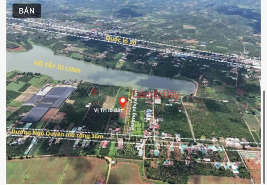 BEAUTIFUL LAND - PROFITABLE INVESTMENT - Owner Needs to Quickly Sell Land Lot in Prime Location, Di Linh Town, Lam Dong, Vietnam | Sales | đ 2.6 Billion