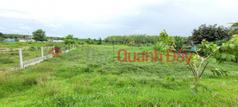 Land plot for sale with good location (Phu-9513179156)_0