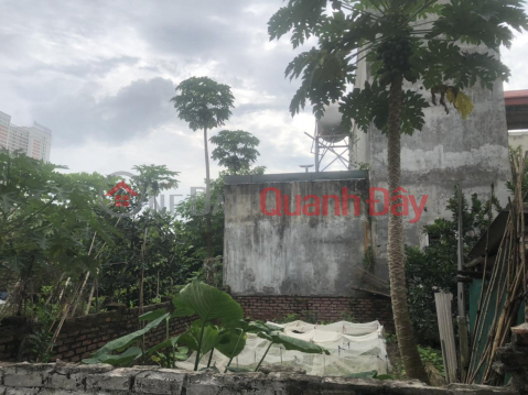 The owner needs to sell urgently 53.6m Dong Tru village, Dong Hoi commune, Dong Anh 7c highway, public price 53.6 million\/m2 investment _0