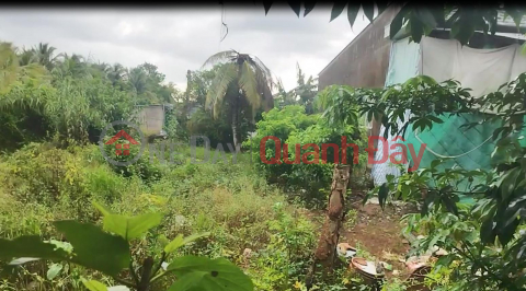 Land for sale, 120m2, residential plot on Ba Lai Street, Tan Duong, Dong Thap. Title deed available, Southeast facing, 560 million VND. _0
