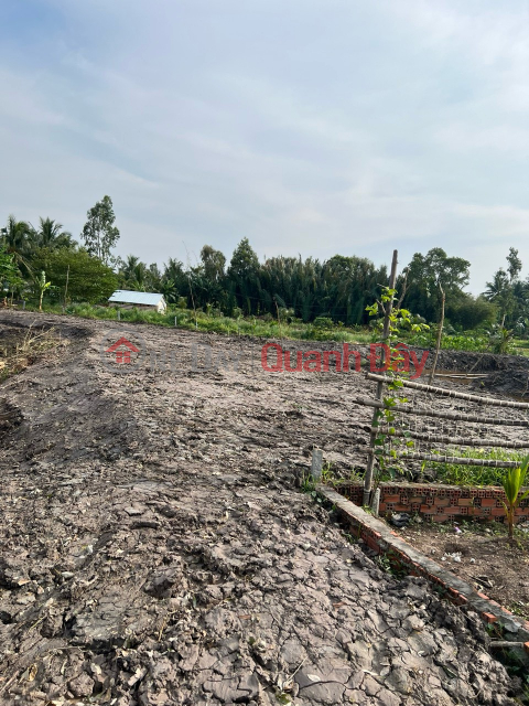 OWNER FOR SALE 2316.5m of Land for Perennial Plants, 600k m2 Land, Beautiful Location Chau Thanh, Kien Giang _0