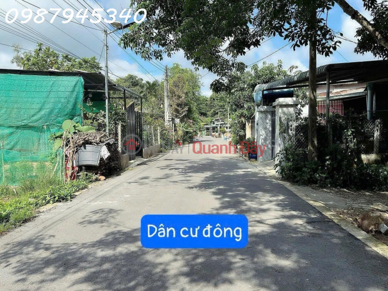 Property Search Vietnam | OneDay | Nhà ở, Niêm yết bán, Bán đất đường Lò Rèn, Long Hòa, 4,5tr/m2, 3100m2 view đẹp Hot!