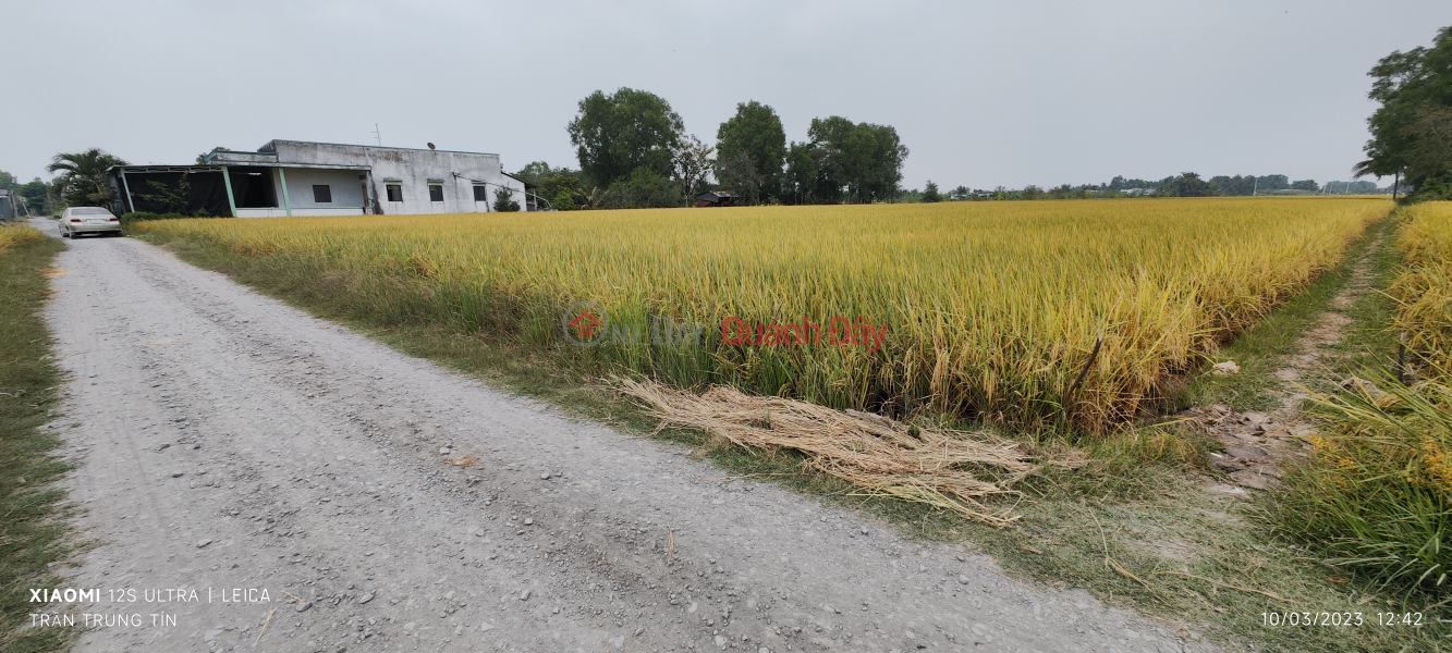 Selling rice land lot with green stone road frontage for 700 million, Vietnam, Sales ₫ 4.1 Billion