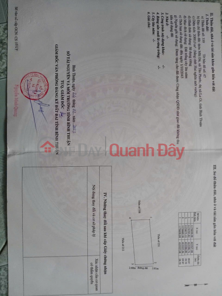 PRIME LAND - GOOD PRICE - URGENT SALE OF LAND SUITABLE FOR PERENNIAL CROPS IN TAN PHUOC COMMUNE, LAGI TOWN, BINH THUAN PROVINCE Sales Listings