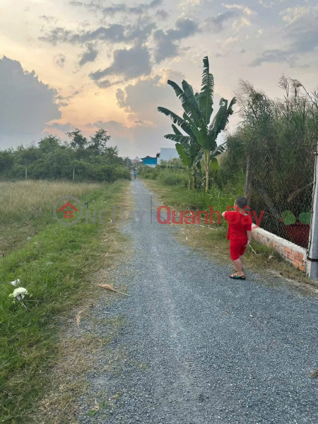 OWNER SELLING 2 adjacent plots of land in alley off D5 street, Hamlet 4, Ward 5, Tra Vinh City, Tra Vinh Province Sales Listings