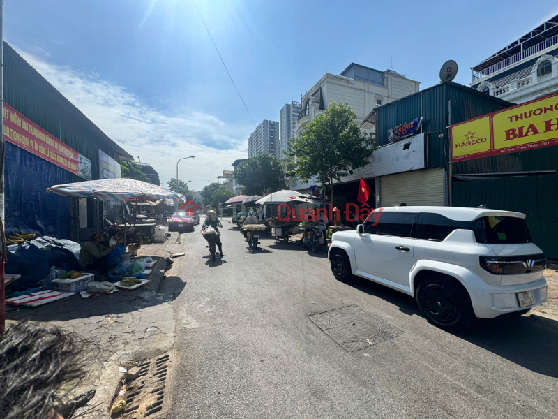 OWNER WANTS TO SELL 254 M2 LAND IN 31HA URBAN AREA - GIA LAM, PRICE NEGOTIABLE, CONTACT 0985865658 Vietnam Sales, đ 47 Billion