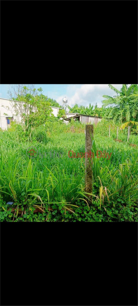 OWNER'S LAND - GOOD PRICE - For Sale At Loc Thanh Residential Area, Loc Hung Ward, Trang Bang, Tay Ninh _0