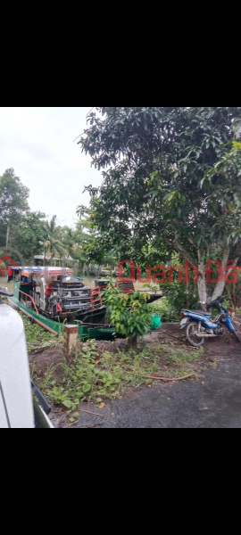 Property Search Vietnam | OneDay | Residential | Sales Listings | BEAUTIFUL LAND - GOOD PRICE - Land Lot For Sale Prime Location In Giong Rieng District, Kien Giang