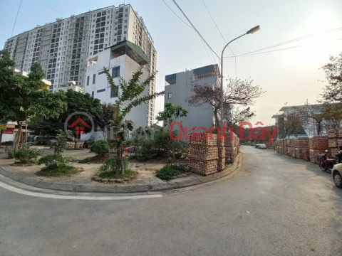 Land for sale, Phuc Loi Subdivision, Car Avoidance, Sidewalks, Vinhome Riverside Neighbors. _0