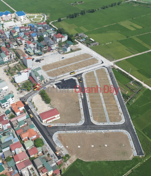 Land sale at auction in Duc Tu Dong Anh commune in 2023 Sales Listings