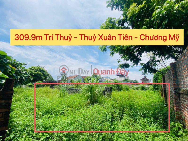 OWNER'S FO GOODS 309.9M2 AT THUY XUAN TIEN-CHUONG MY-HANOI Sales Listings