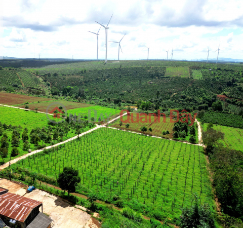 Bán đất huyện Chư Prông sổ hồng 1000m giá 180tr đường ô tô 5m _0