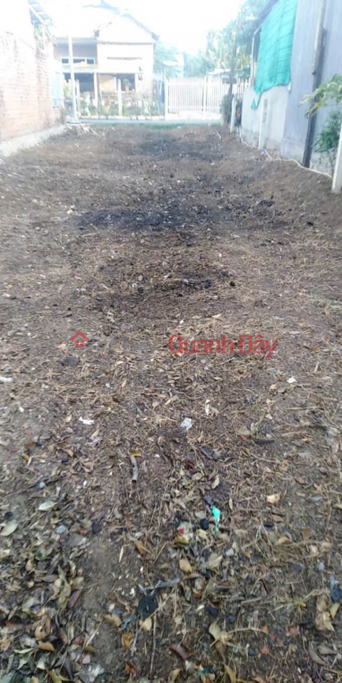 OWNER'S LAND - Good price - Beautiful location in village 2, Ninh Son, Ninh Hoa town, Khanh Hoa province _0