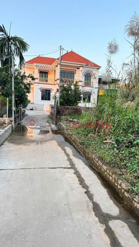 Gửi kho lô 50m Thư Dương - Thư Phú - Thường Tín - Ô tô đỗ cửa - Giá đầu tư nhỉnh 2 tỷ _0