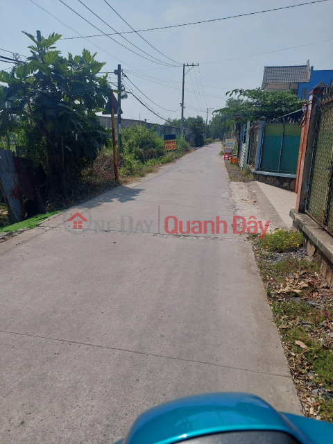 Lot of Land for Rent in Front of Truck Road at Tan Quy Tay, Binh Chanh, Ho Chi Minh _0