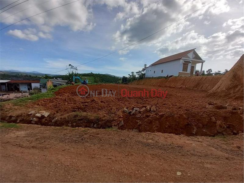 OWN NOW A Lot Of Land In Village 9, Tan Lam - Tan Lam Commune - Di Linh District - Lam Dong Sales Listings