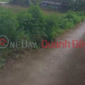 OWNER NEEDS TO SELL LOT OF LAND Prime Location In Hoa Binh District, Bac Lieu _0