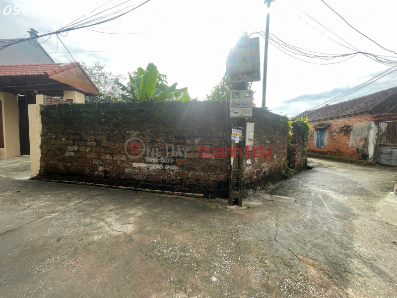 CC FO is selling a beautiful corner lot of 61m2 in the center of Dai Yen commune, Chuong My, price is just over 1.x billion. | Vietnam, Sales, đ 1.65 Billion