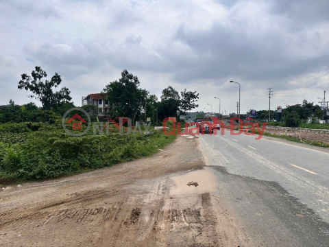 OWNER NEEDS MONEY, URGENTLY SELLS 73.5M2 SERVICE LAND IN TIEN PHUONG-CHUONG MY-HANOI _0