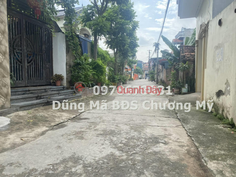 PRICE ONLY 1TY2 TO OWN 55M LOT OF LAND IN DAI YEN-CHUONG MY Vietnam, Sales | đ 1.2 Billion