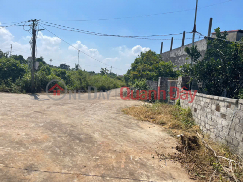 LAND PLOT IN CHŨ, BAC NINH, PRICE 480 MILLION VND, 400M2, NEAR RESIDENTIAL AREA. Nguyen Hung Real Estate - 0989333012 _0