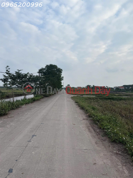 Property Search Vietnam | OneDay | Nhà ở, Niêm yết bán, Bán lô đất siêu đẹp tại xã Khánh Hội, Ninh Bình, giá cực chất 3,8 tỷ, DT 148m2