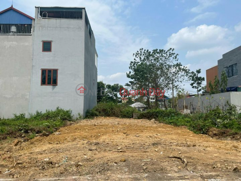 75m2 Full Residential Area, Southeast direction, Vuong Loc Sales Listings