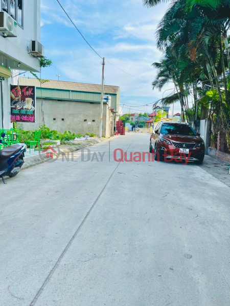 Property Search Vietnam | OneDay | Residential, Sales Listings, Super nice corner lot for sale in new auction area Ngai Duong, Dinh Du, Van Lam, cheapest price on the market