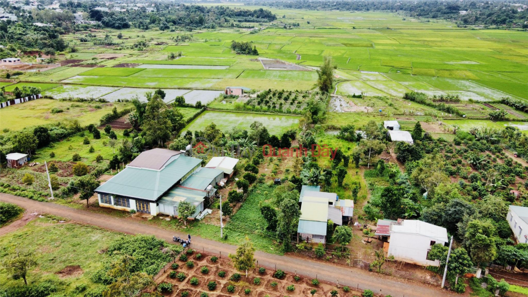 BEAUTIFUL LAND - GOOD PRICE - Front Lot for Urgent Sale in Ia De Commune, Ia Grai District, Gia Lai | Vietnam Sales, ₫ 390 Million