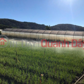 Residential land (ONT) with frontage on National Highway 725, Ta Nung, Da Lat. Gateway to Ta Nung, Nam Ban, near the market and commune office. _0