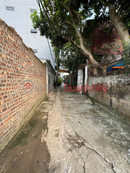 đ 41.5 Billion, LAND FOR SALE 166M2 ON ROAD FRONT OF BO DE HONG TIEN LONG BIEN