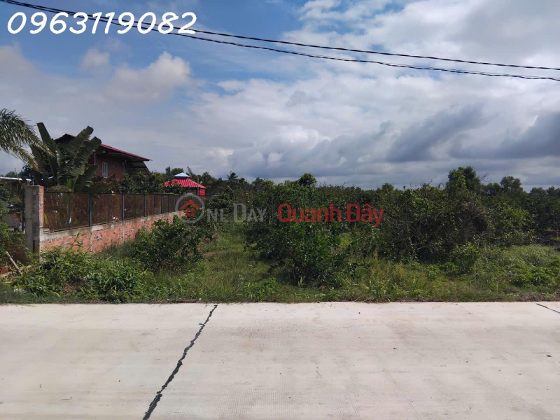 Selling a 2,794m2 plot of land (2.15 billion VND),own the land immediately, can be converted to residential land. Sales Listings