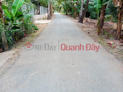 OWNERS Need to Sell BEAUTIFUL HOUSE Quickly in Chau Hung Commune, Binh Dai, Ben Tre _0