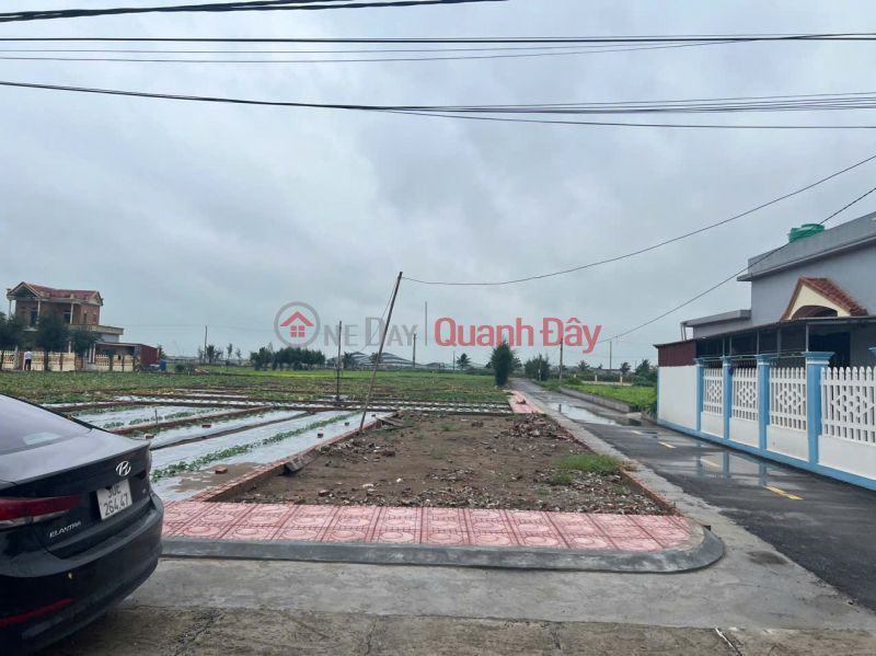 đ 1.7 Billion, Land in Quat Lam Town, Giao Thuy District 1.7 billion - 100m² near night market, bustling business - Nguyen Hung Real Estate -