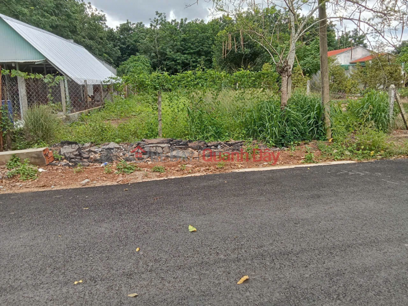 PRIME LAND - GREAT PRICE, QUICK SALE! INVESTMENT PLOT WITH HIGH PROFIT POTENTIAL in Dau Tieng District, Binh Duong Province. Vietnam | Sales | đ 1.55 Billion
