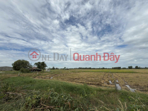 PRIME LAND - GREAT PRICE - Quick Sale in Phuoc Dong Hamlet, Long Chu Commune, Tay Ninh Province (formerly Long Phuoc Commune, Ben Tre Province) _0