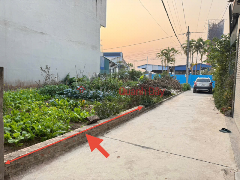 Property Search Vietnam | OneDay | Nhà ở, Niêm yết bán, Bán 65m đất thôn Đồng - tổ 8, Quang Minh. Gần đường Võ Văn Kiệt và khu công nghiệp