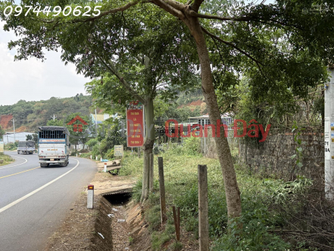 Land for sale, 536.5m2, on National Highway 20, Di Linh, price 5.1 billion VND, stunning view, super hot property. _0