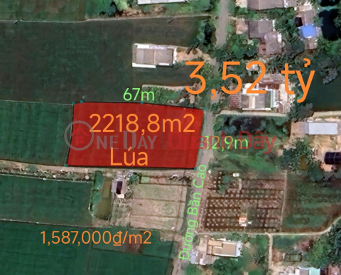 Selling rice land plot for warehouse near National Highway 50B for 3.52 billion _0