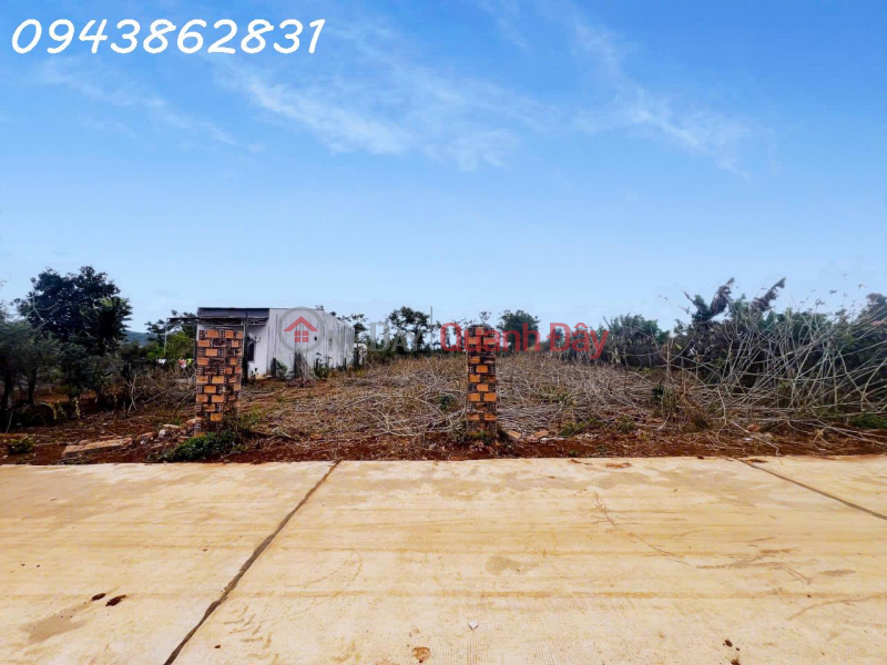 FOR SALE: BEAUTIFUL PLOT OF LAND – WIDE FRONTAGE – SUITABLE FOR INVESTMENT \\/ BUILDING A GARDEN HOUSE Sales Listings