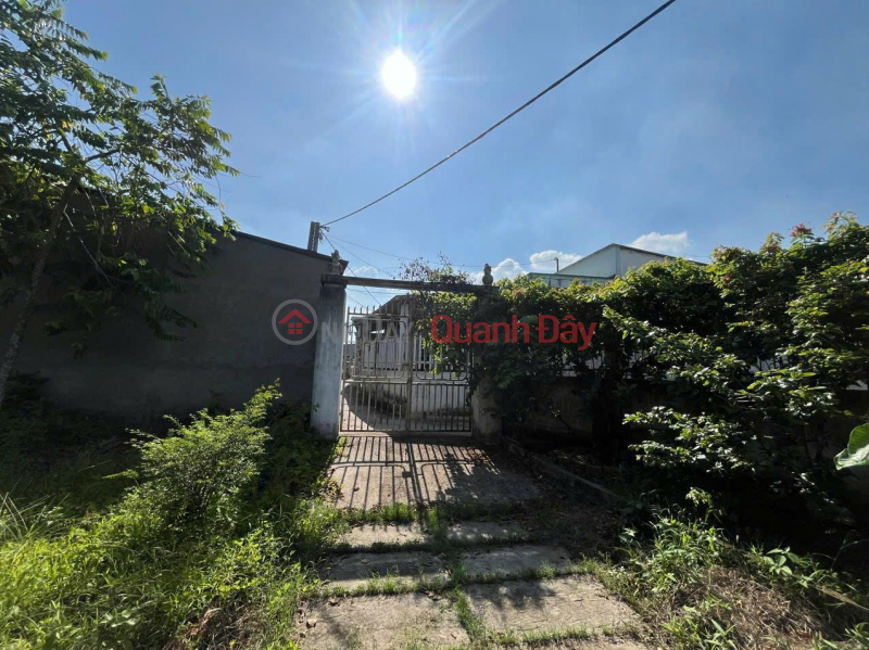 Property Search Vietnam | OneDay | Residential | Sales Listings, OWNER Needs to Sell Land Quickly in Tan Hanh Commune, Long Ho, Vinh Long