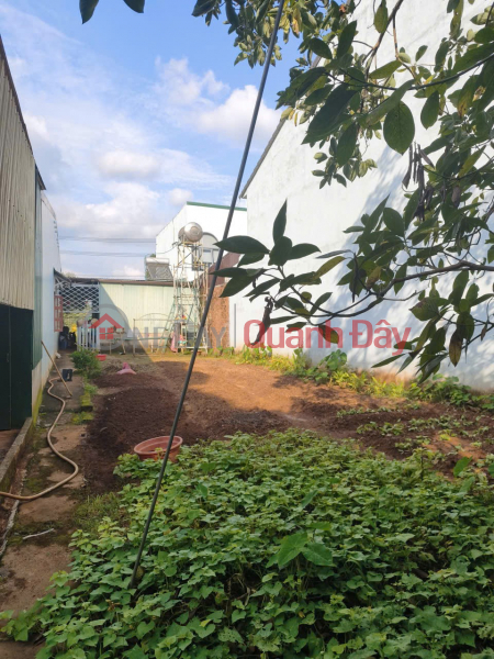 ĐẤT ĐẸP – GIÁ TỐT - CẦN BÁN NHÀ MẶT TIỀN 300 M² Đ. NGUYỄN THÁI HỌC, PHƯỜNG ĐÔNG GIA NGHĨA, Đak Nông Việt Nam, Bán | đ 2,95 tỷ