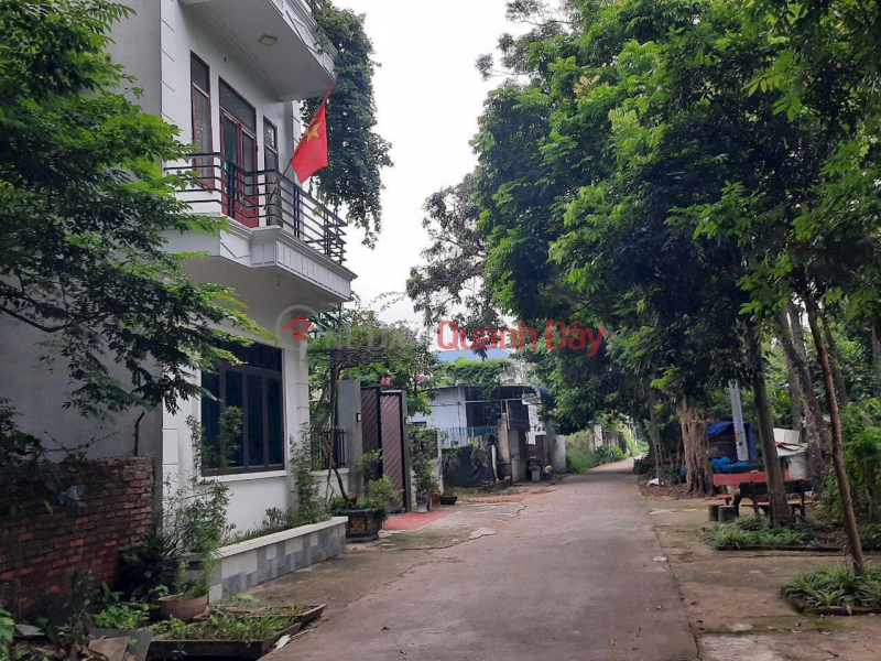 Super hot 35m2 land lot in Thuy Huong near Chuc Son, price just over 1 billion - Area 35m2 frontage, 4m back Sales Listings