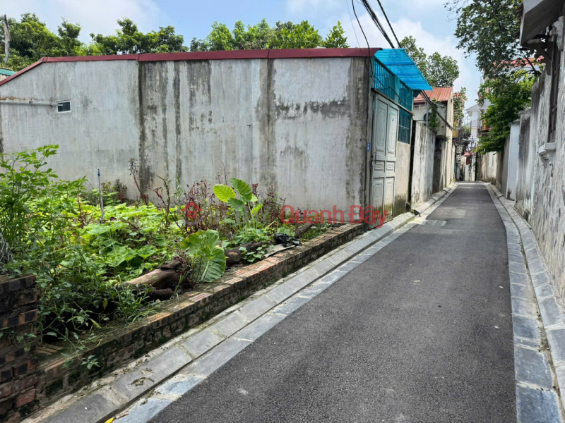 Property Search Vietnam | OneDay | Nhà ở Niêm yết bán Đất đẹp thôn Cổ Điển, Hải Bối, Đông Anh. Đường thông, trải nhựa, oto đỗ
