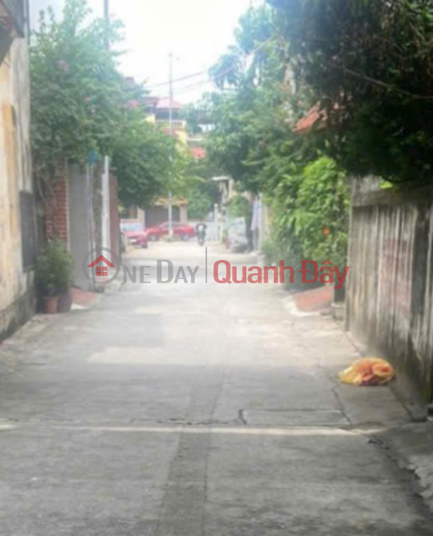 Property Search Vietnam | OneDay | Residential Sales Listings | Title: NEED TO TRANSFER A BEAUTIFUL LAND LOT IN Ninh So Commune - Thuong Tin District - Hanoi