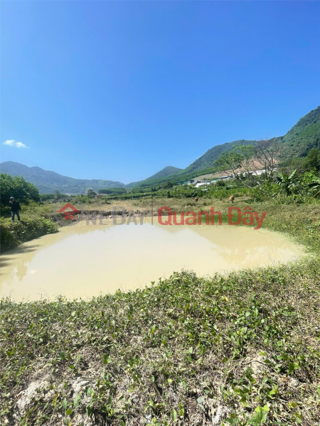 OWNER Need to sell quickly beautiful land lot at good price in Dien Khanh district, Khanh Hoa province Vietnam Sales đ 2.2 Billion